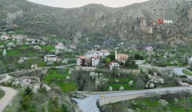 Gümüşhane’nin tarihi mahallesinde bahar güzelliği