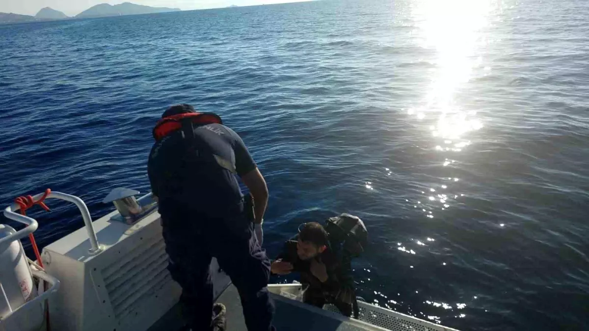 Bodrum’da Düzensiz Göçmen Yakalandı