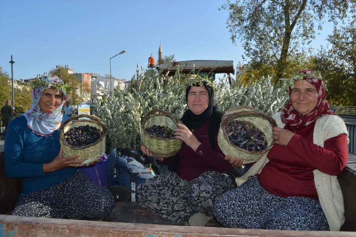 Manavgat’ta Zeytin ve Zeytinyağı Festivali Başladı